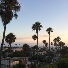 palm trees line the street as the sun sets in the distance over houses and hills