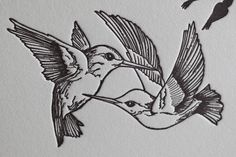 a drawing of two hummingbirds flying next to each other