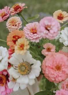 a bunch of flowers that are sitting in the grass and being held by someone's hand