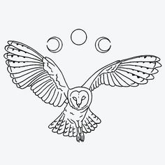 an owl flying in the air with its wings spread out and two circles above it