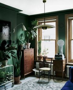 a living room filled with furniture and lots of plants on top of windowsills