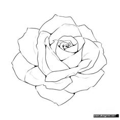 a black and white drawing of a rose on a white background with the words, how to draw a rose