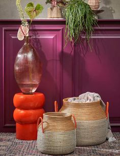 three baskets with plants in them sit on the floor next to a purple wall and red door