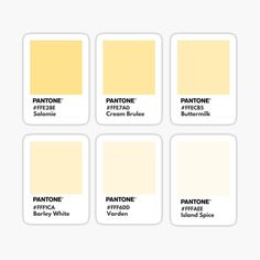 six pantone swatches with the same color as each one in different sizes and colors