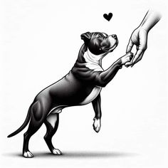 a black and white drawing of a dog reaching for a person's hand