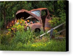 an old rusted out car sitting in the middle of a forest filled with flowers