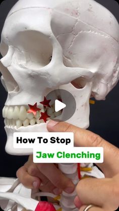 Dr. Joe Damiani - TMJ, Head & Neck Specialist on Instagram: "Comment the word ‘TMJ’ on this post if you need help getting rid of Jaw Pain and I’ll send you my free guide.

Do you clench your teeth? Do you also know that you have postural issues along with potential neck pain, jaw, pain, or upper back stiffness?

Well, this video, I explain how these secondary issues can actually induced clenching in the teeth, and which muscles to stretch/strengthen to get you into a better position, reducing tooth contact.

You see the more freeway space you have or space between the teeth. The less contact occurs, does reducing the desire to clench.

Try out the stretch for your superficial neck flexors and strengthening exercise for the deep neck flexors to start realigning your posture, creating more s Targeted Workouts, Teeth Clenching, Jaw Exercises, How To Relax Yourself, Target Workout, Jaw Clenching, Christian Counseling, Tooth Pain