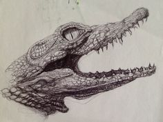 a drawing of a crocodile's head with sharp teeth