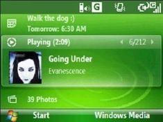 the green theme for windows media player