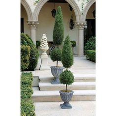 three potted trees sitting on top of steps in front of a building with arches