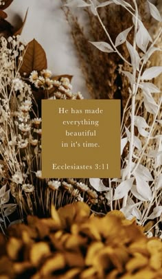 the words he has made everything beautiful in its time ecclesnates 3 11