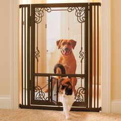 a dog standing in front of a gate with a cat on the floor next to it