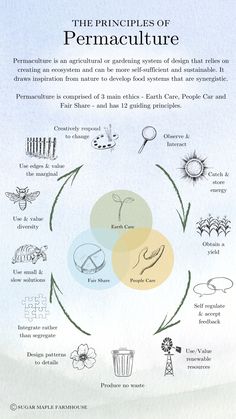 the four circles of permaculture