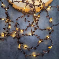 a string of lights that are on top of a tree stump with some leaves attached to it