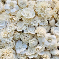 an arrangement of flowers made out of white paper machs are shown in this close up photo