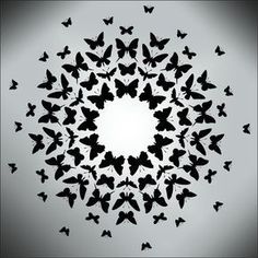 a circle made up of black butterflies on a gray background with space in the middle