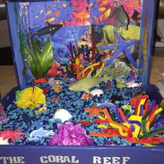 the coral reef box is filled with sea life