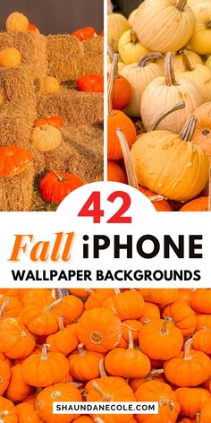 pumpkins and hay bales with the text 42 fall iphone wallpaper backgrounds