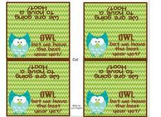 three owls are on green and brown labels with the words owl, i love you