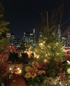 the city lights shine brightly in the background as well as potted plants and trees