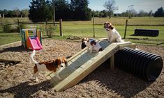 two dogs are playing in the playground