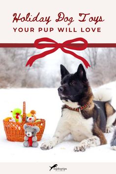 Holiday Dog Toys Your Pup Will Love, christmas dog, dog toys Holiday Season