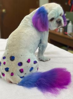 a white dog with purple and blue hair sitting on top of a bed