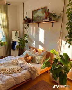 an unmade bed in a bedroom with plants on the wall and hanging shelves above it