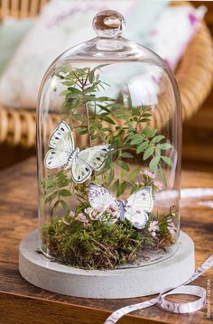 a glass clochel with plants and butterflies in it sitting on a wooden table