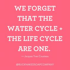 a pink background with the words we forget that the water cycle and the life cycle are one