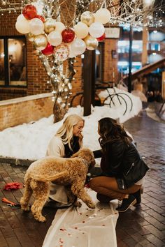 two women sitting on the ground with a dog in front of them and balloons hanging from the ceiling