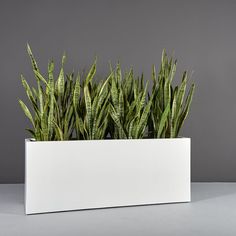 a white planter filled with green plants on top of a table