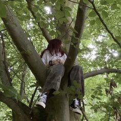 a woman sitting on top of a tree in the forest