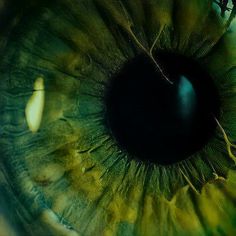 an extreme close up view of the iris of a green eye