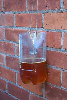 a glass hanging from a brick wall with liquid in it and a string attached to the side