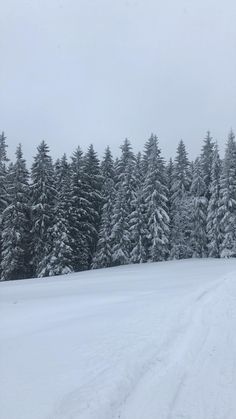 a snow covered field with trees in the background