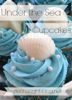 cupcakes with blue frosting and seashell decorations