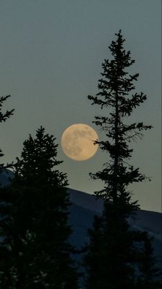 the full moon is seen through some trees in the evening sky, with mountains in the background