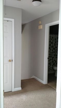 an empty room with white doors and carpet