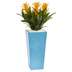 a blue planter with yellow flowers in it on a white background for use as a decoration