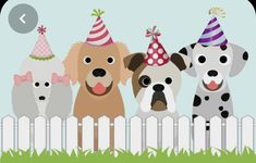 three dogs wearing party hats behind a fence