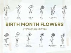 the birth month flowers are shown in black and white