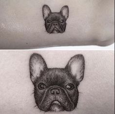 two pictures of a dog's face on the left side of the stomach