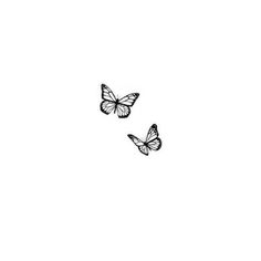 two butterflies flying in the air on a white background, one is drawn with black ink