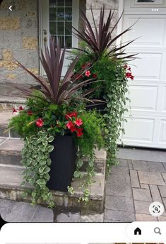 an image of a planter with flowers in it