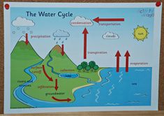 the water cycle is shown on a bulletin board