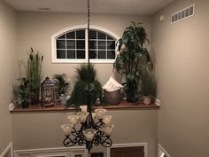 a chandelier with potted plants on top of it in front of a window