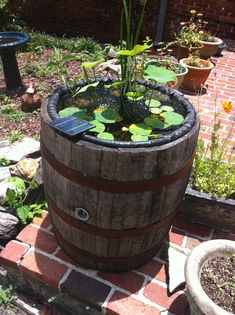 a wooden barrel filled with water lilies on top of a brick walkway next to a pond