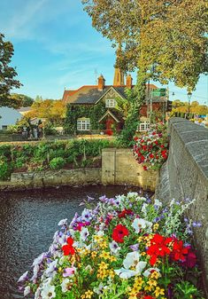 colorful flowers line the edge of a river in front of a brick building and bridge