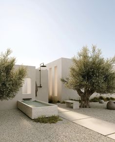 an outdoor courtyard with trees and water feature in the foreground, next to a white building